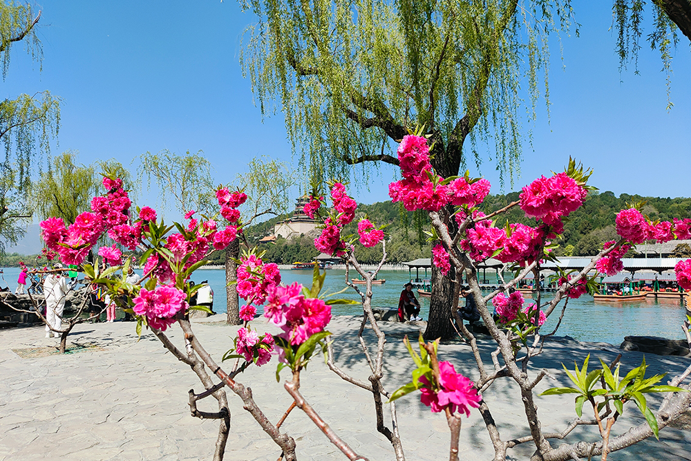 Tour 4 ,  Panda house . Summer Palace  . Olympic Center . Take a rickshaw go through hutong and visit a local family .  Yandaixiejie Hutong and Houhai lake .